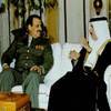 لقاء الشيخ حمد بن عيسى آل خليفة ولي عهد البحرين