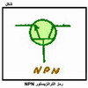   N P N