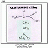    Glutamine, Gln