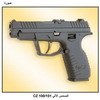    CZ 100/101