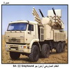   /  SA-22 Greyhound