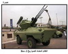     Bov-3