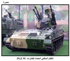     PGZ 95