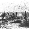           1954           