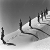                 1956